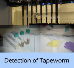 Detection_of_Tapeworm