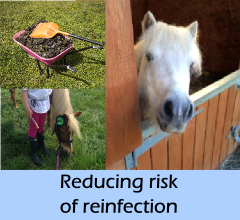 new-reducing_risk