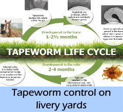 news-tapeworm_control