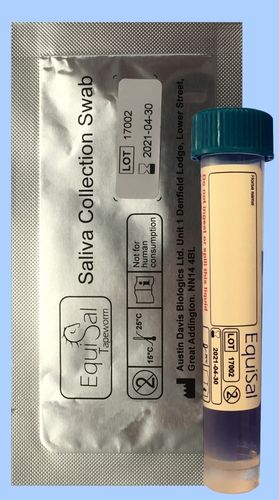 Replacement swab and tube